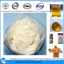Injectable Pharmaceutical Intermediate Steroid Hormone Powder Trenbolone Enanthate